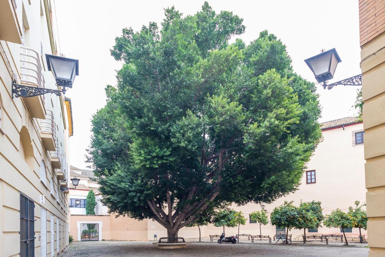 Alohamundi Escuelas Pias Sevilla Exterior foto